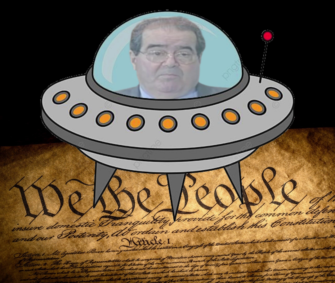 CONSTITUTIONAL VIOLATIONS ACCEPTED BY US COURTS